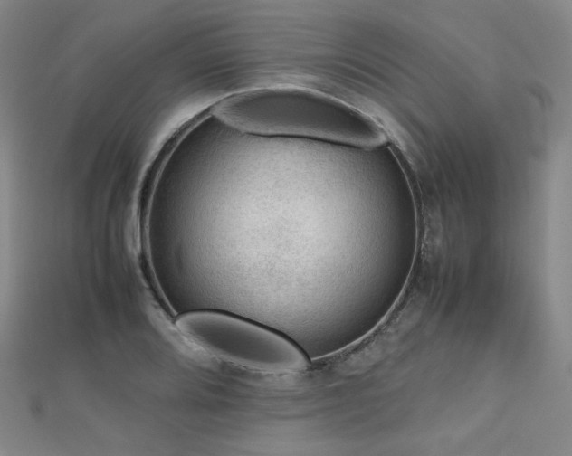 X0000112811080200908211139