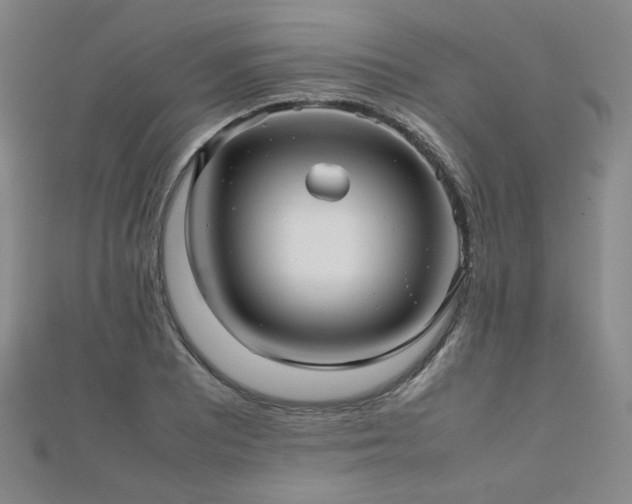 X0000112811081200908211139