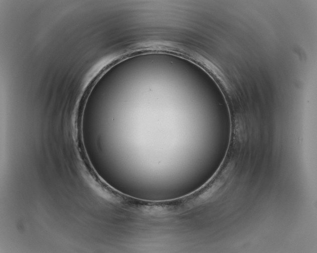 X0000112811082200908211139