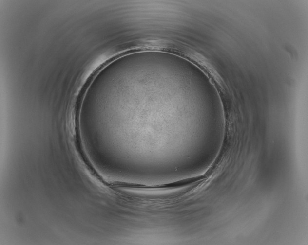 X0000112811083200908211139
