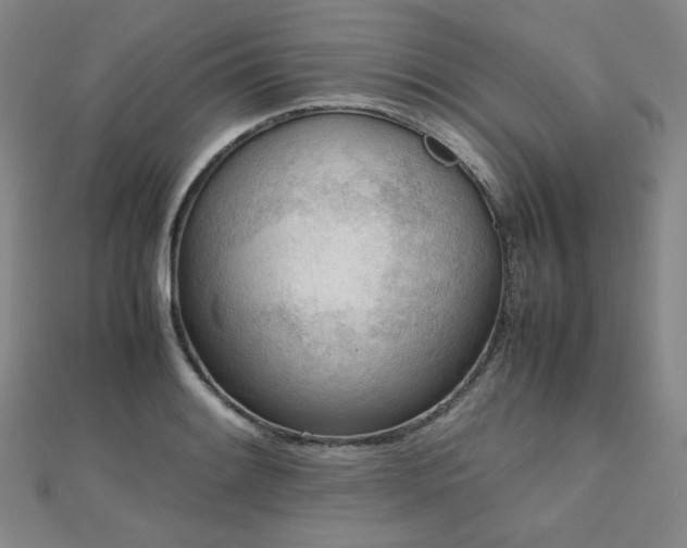 X0000112811084200908211139
