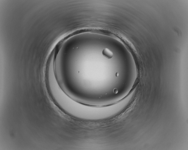 X0000112811085200908211139