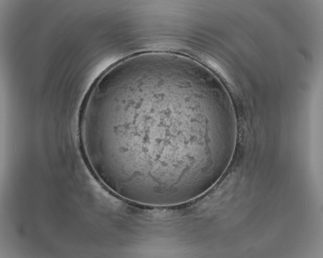 X0000112811087200908211139
