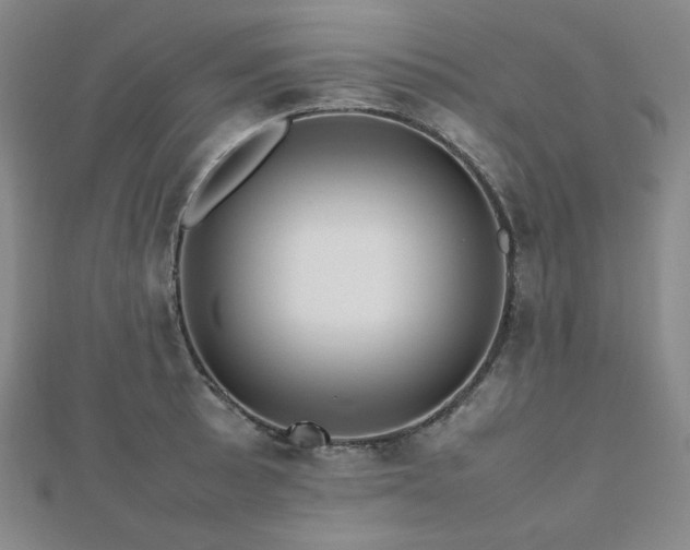 X0000112811089200908211139