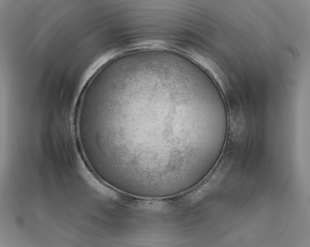 X0000112811090200908211139