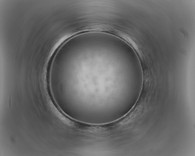 X0000112811091200908211139
