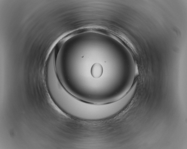 X0000112811092200908211139