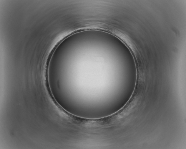 X0000112811093200908211139