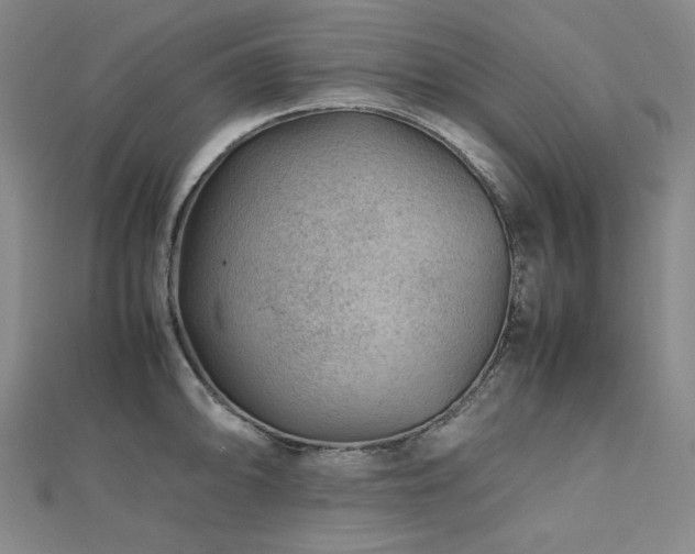 X0000112811094200908211138