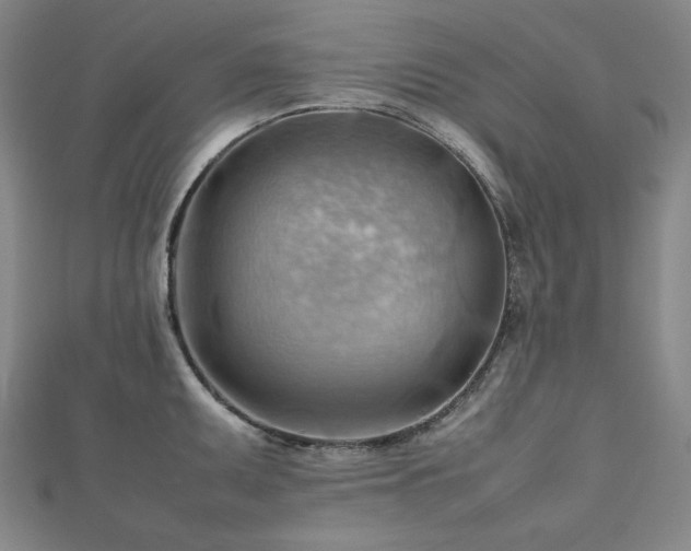 X0000112811095200908211138