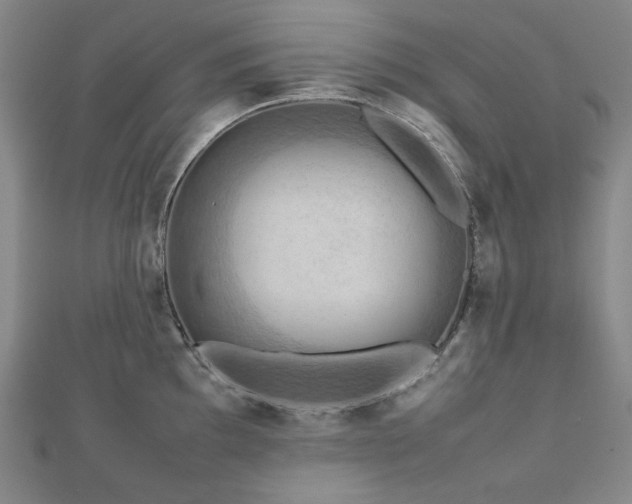X0000112811097200908211138