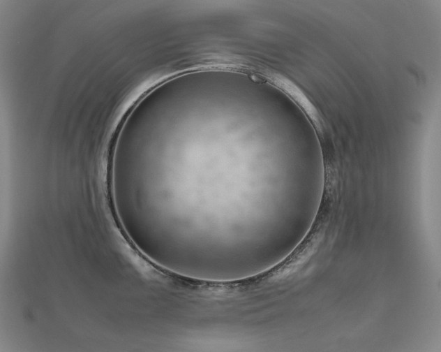 X0000112811099200908211138