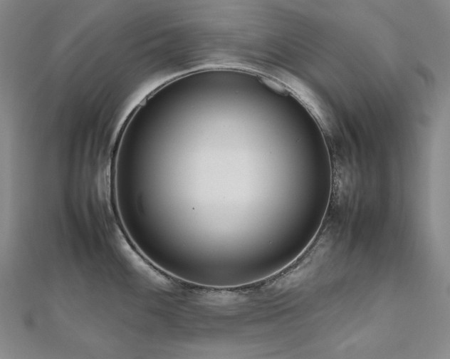X0000112811100200908211138