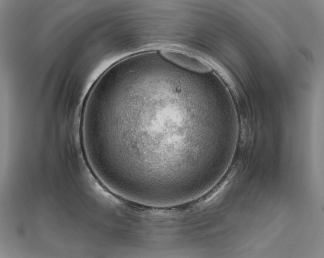 X0000112811102200908211138