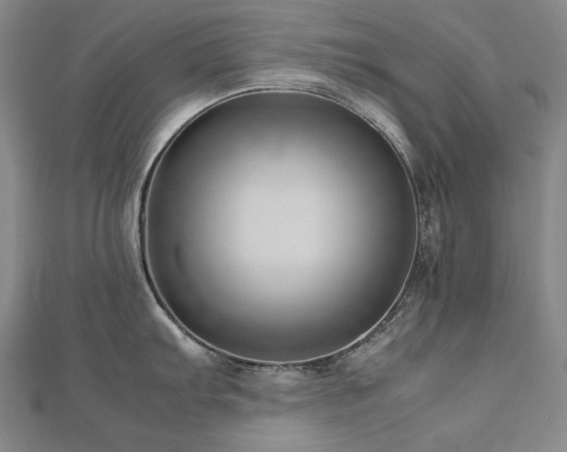 X0000112811103200908211138