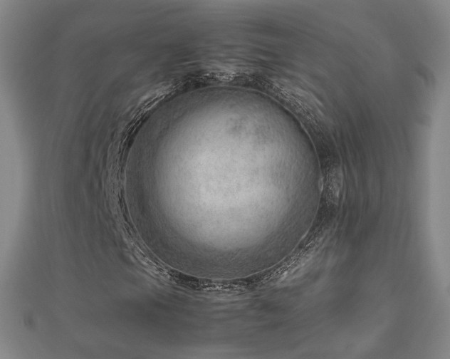 X0000112811105200908211138