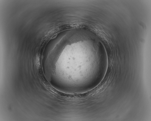 X0000112811106200908211138