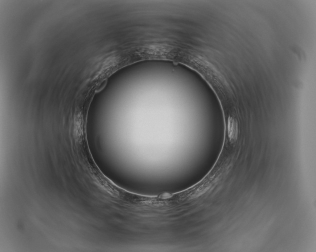 X0000112811107200908211138