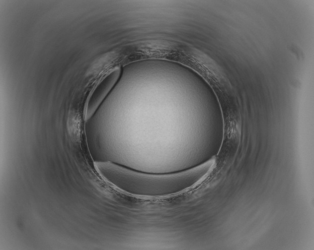 X0000112811108200908211138