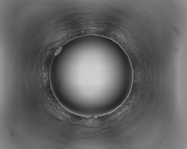 X0000112811109200908211138