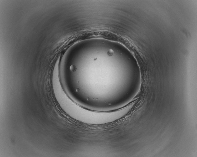 X0000112811110200908211138