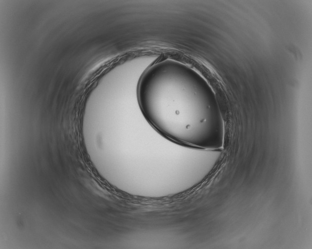 X0000112811112200908211138