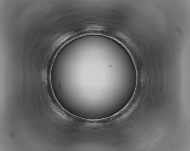 X0000112811113200908211138