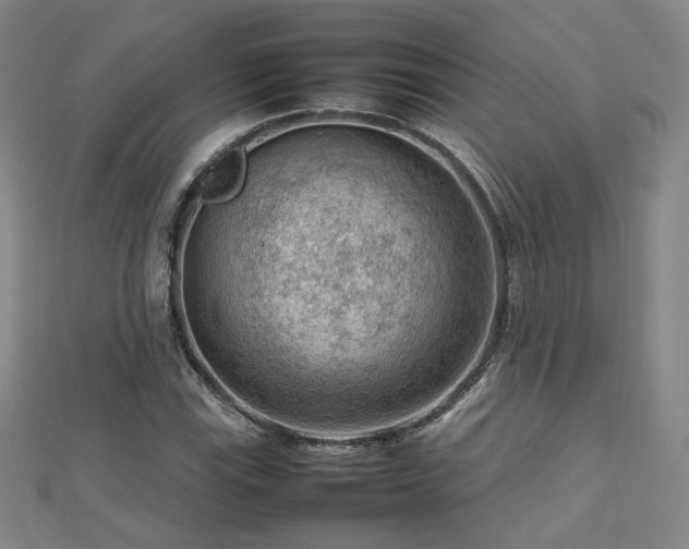 X0000112811115200908211138