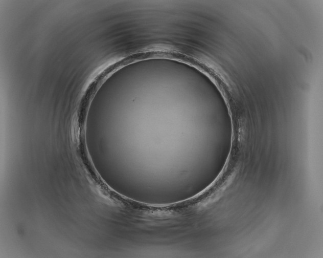 X0000112811117200908211138