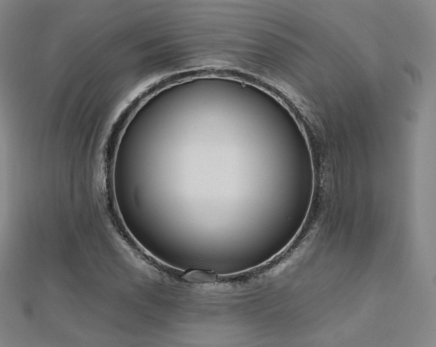 X0000112811118200908211138