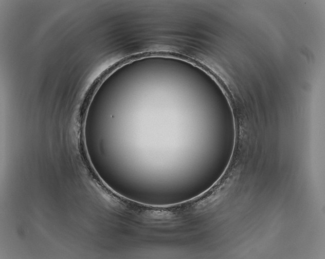 X0000112811119200908211138