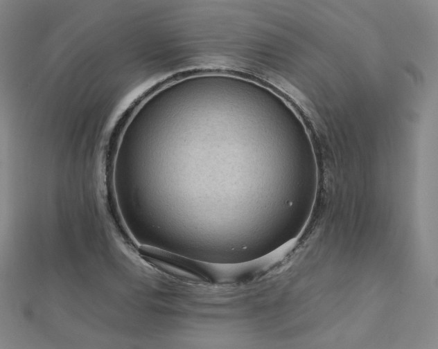 X0000112811120200908211138