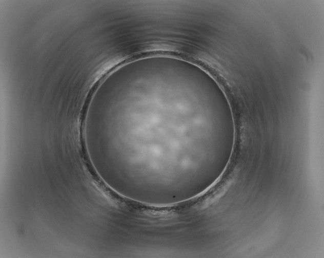 X0000112811121200908211138