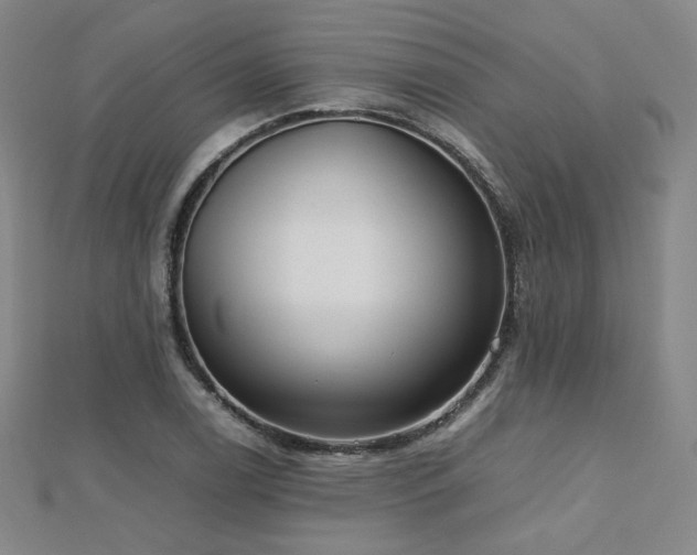X0000112811122200908211138