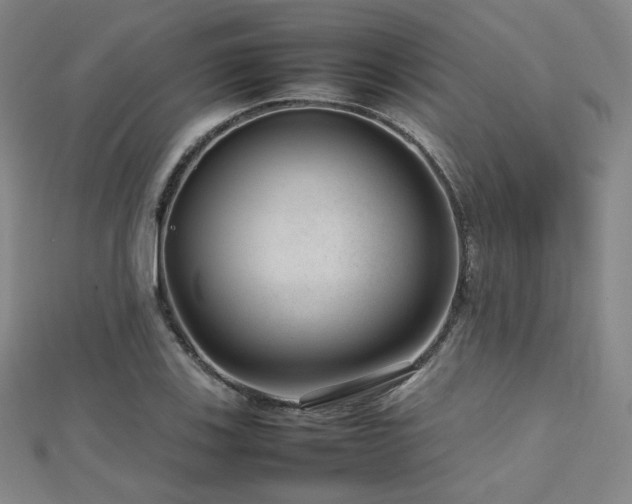 X0000112811123200908211138