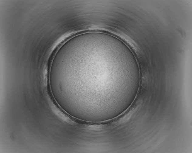 X0000112811126200908211138