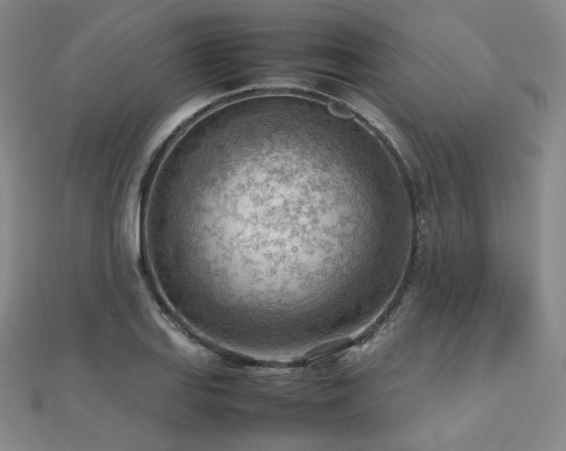 X0000112811127200908211138