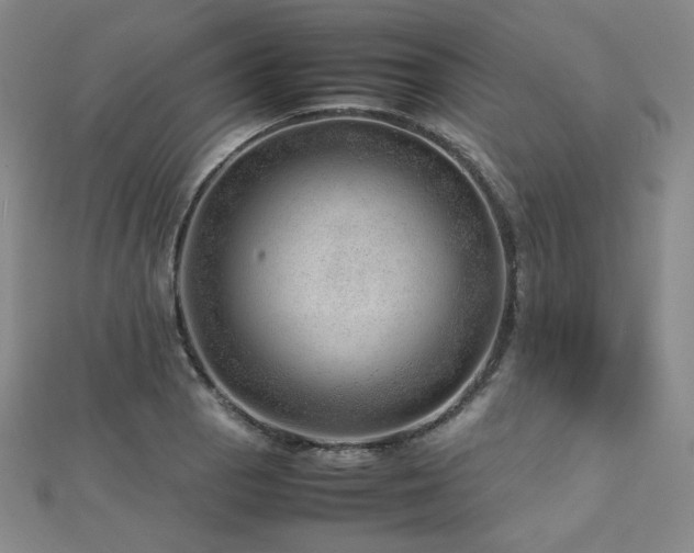 X0000112811129200908211138