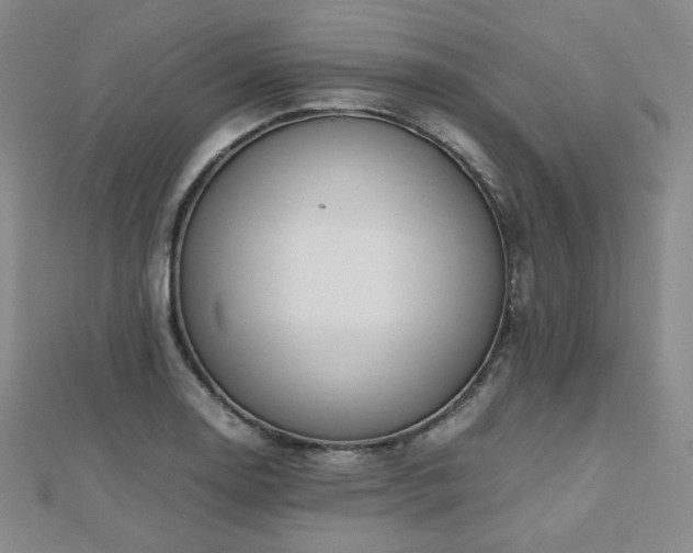 X0000112811130200908211138