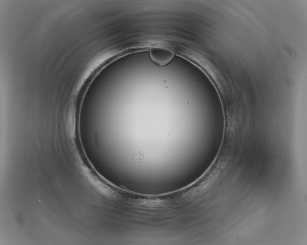 X0000112811131200908211138