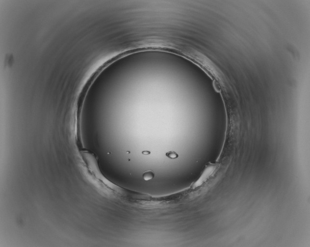 X0000112811132200908211138