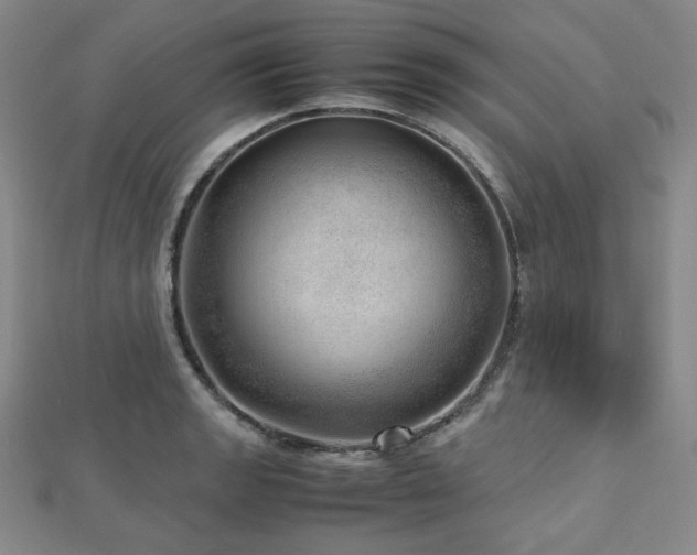 X0000112811133200908211138