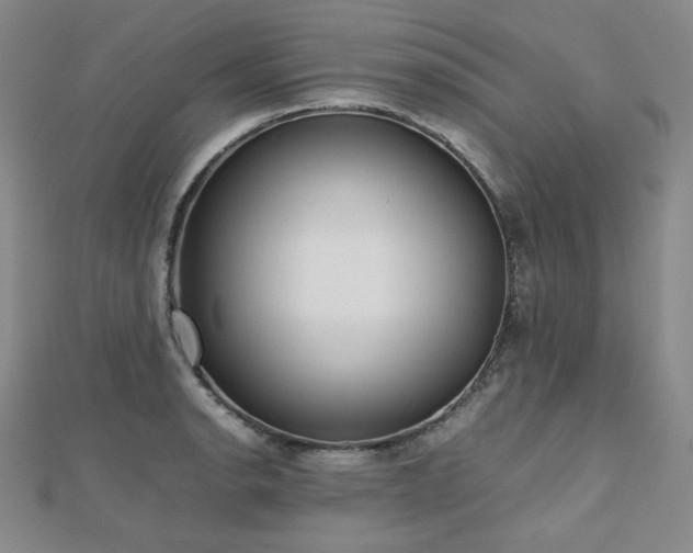 X0000112811134200908211138