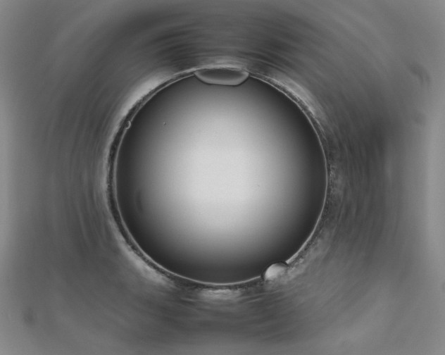 X0000112811135200908211138