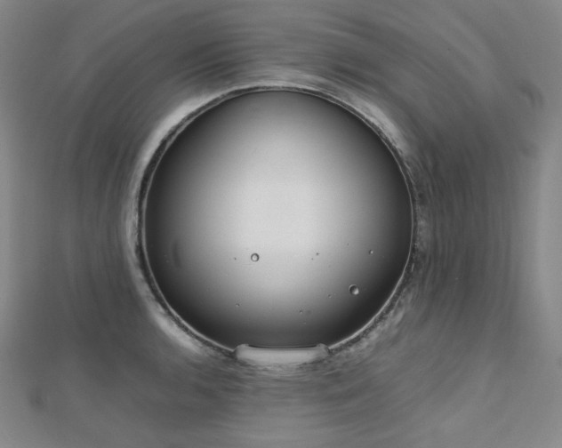 X0000112811136200908211138