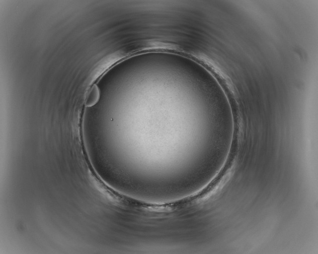 X0000112811137200908211138
