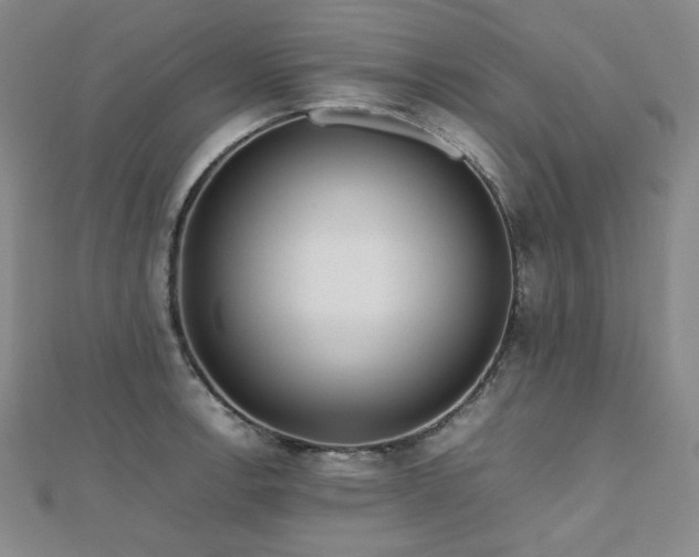 X0000112811138200908211138