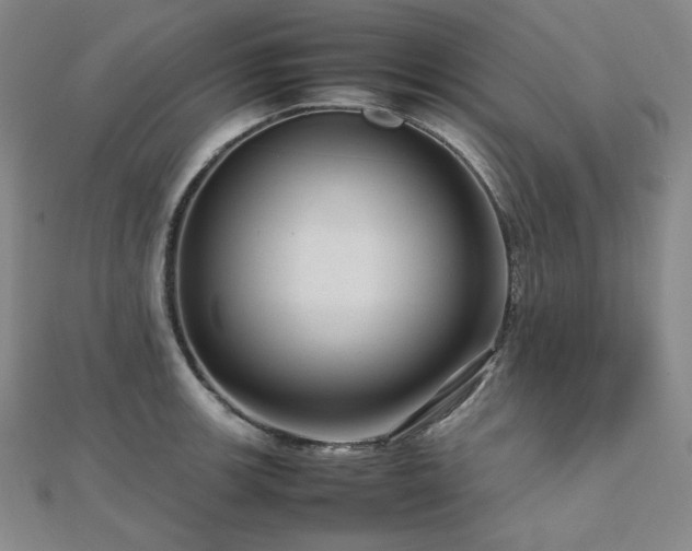 X0000112811139200908211138