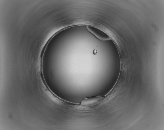 X0000112811140200908211138