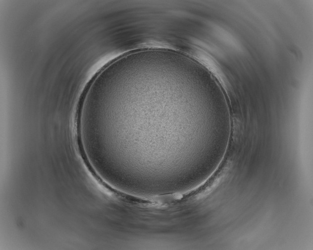 X0000112811141200908211138